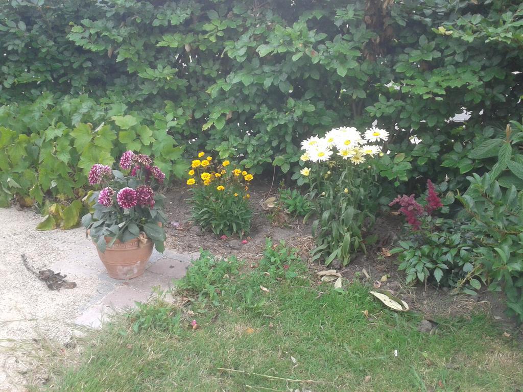 Belvedere B&B Svendborg Bagian luar foto